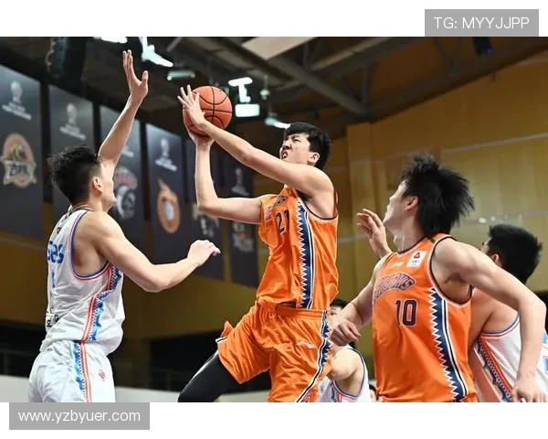 上海bilibili篮球队在CBA联赛中的发展与表现